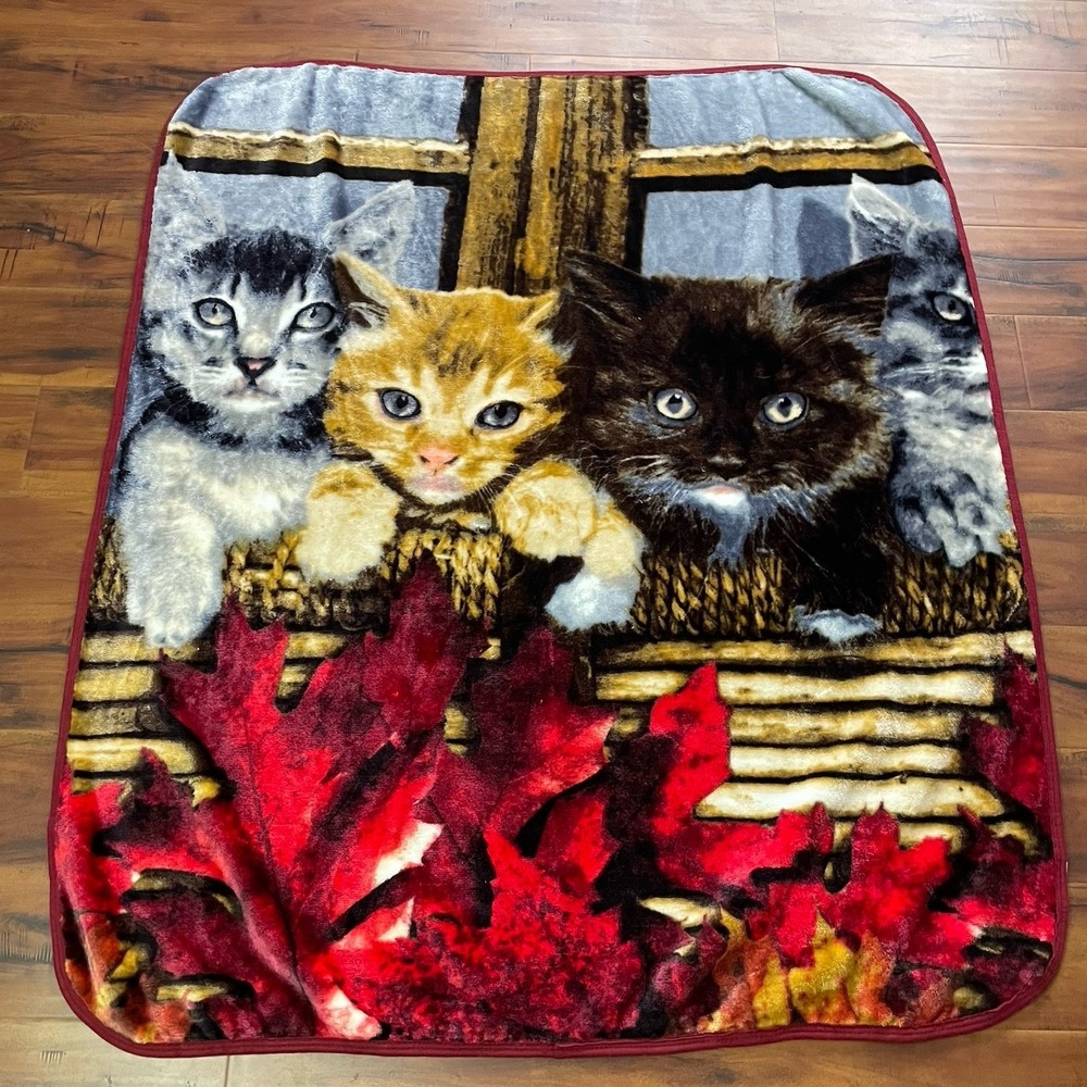 Cats in‎ a Basket Throw Blanket Rectangular 49"x58" Brown Red Super Soft Plush